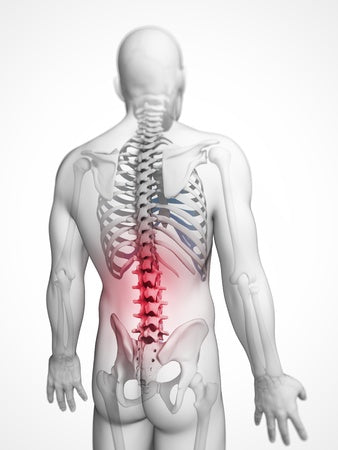 3D computergrafika álló férfi háttal-pirossal a gerincsérvben érintett szakasz pirossal